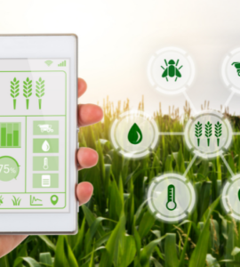 AI in Agriculture