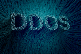 DDoS Protection